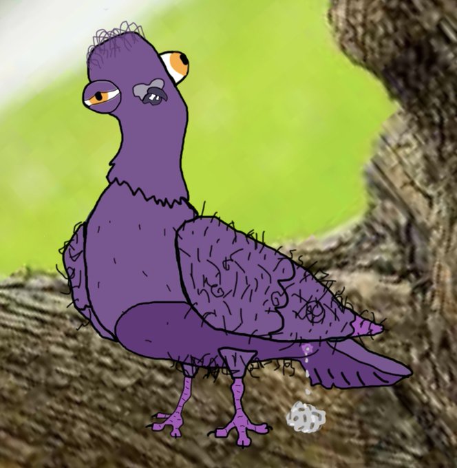 PIGENAD meme: perched & unbothered